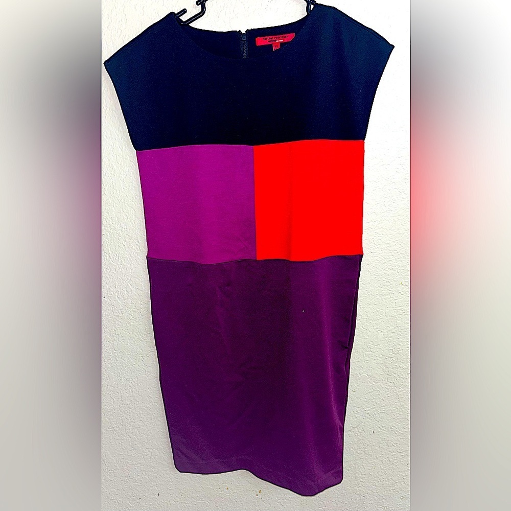 Narcisco Rodriguez Dress
